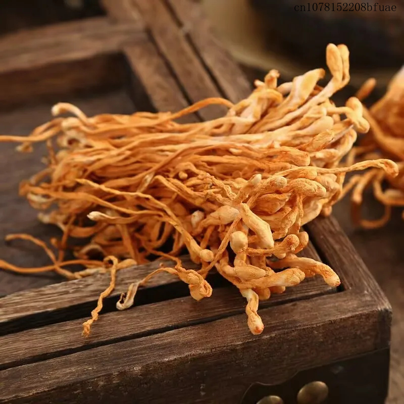Fleurs de Cordyceps séchées 25 - Chamomile Tea avis et prix