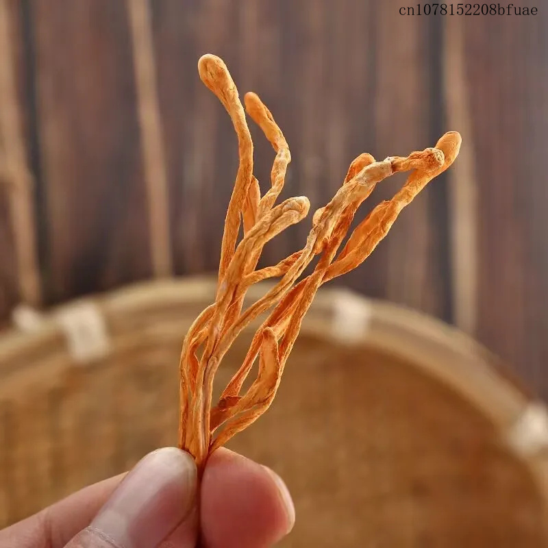 Fleurs de Cordyceps séchées 25 - Chamomile Tea avis et prix